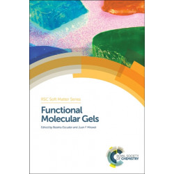 Functional Molecular Gels