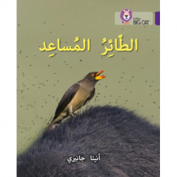The Helper Bird: Level 8