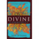 The Divine Commodity: Discovering a Faith Beyond Consumer Christianity