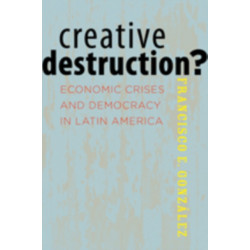 Creative Destruction?: Economic Crises and Democracy in Latin America