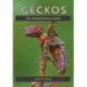 Geckos: The Animal Answer Guide