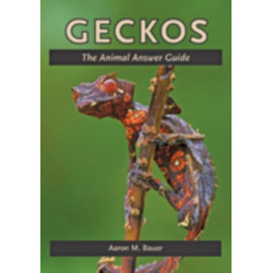 Geckos: The Animal Answer Guide