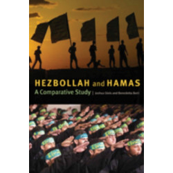 Hezbollah and Hamas: A Comparative Study