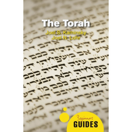 The Torah: A Beginner's Guide