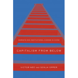Capitalism from Below: Markets and Institutional Change in China