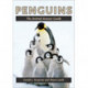 Penguins: The Animal Answer Guide