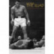 The Iliad