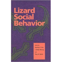 Lizard Social Behavior