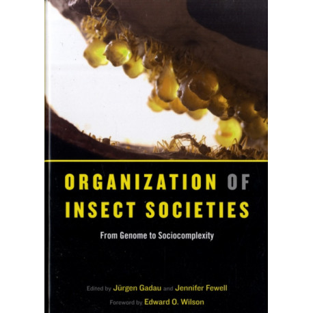 Organization of Insect Societies: From Genome to Sociocomplexity