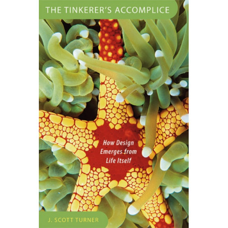 The Tinkerer's Accomplice: How Design Emerges from Life Itself