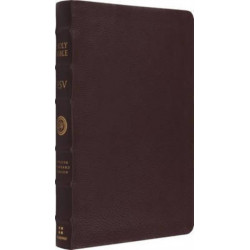 ESV Large Print Thinline Reference Bible