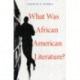 What Was African American Literature?