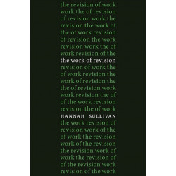 The Work of Revision