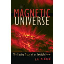 The Magnetic Universe: The Elusive Traces of an Invisible Force