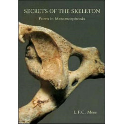 Secrets of the Skeleton: Form in Metamorphosis