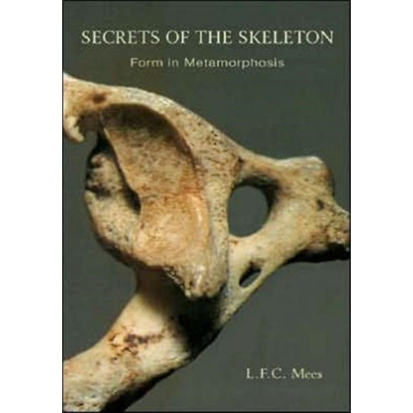 Secrets of the Skeleton: Form in Metamorphosis