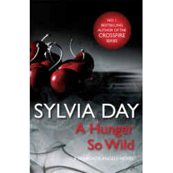 A Hunger So Wild (A Renegade Angels Novel)