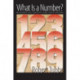 What Is a Number?: Mathematical Concepts and Their Origins