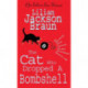 The Cat Who Dropped A Bombshell (The Cat Who… Mysteries, Book 28): A delightfully cosy feline whodunit for cat lovers everywhere