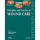 Principles and Practice Of Wound Care