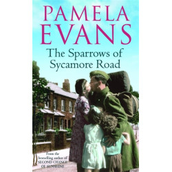The Sparrows of Sycamore Road: The secret lives of a family in Blitz-ravaged London
