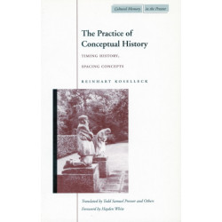 The Practice of Conceptual History: Timing History, Spacing Concepts