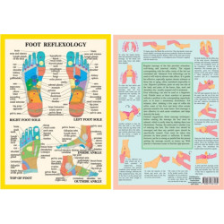Foot Reflexology -- A4