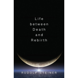 Life Between Death and Rebirth: The Active Connection Between the Living and the Dead