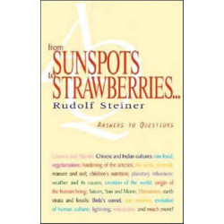 From Sunspots to Strawberries: Answers to Questions
