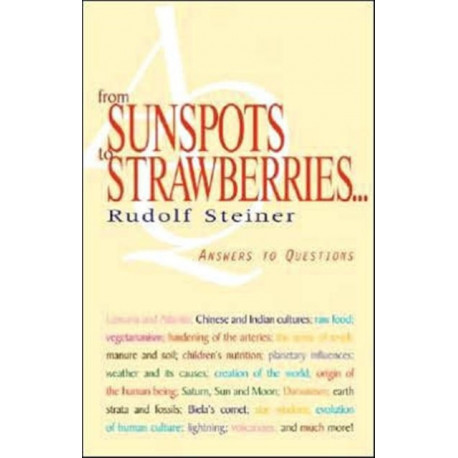 From Sunspots to Strawberries: Answers to Questions