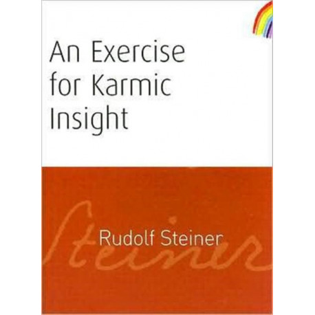An Exercise for Karmic Insight