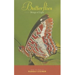 Butterflies: Beings of Light