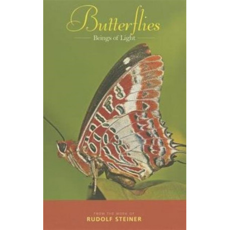 Butterflies: Beings of Light