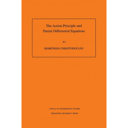 The Action Principle and Partial Differential Equations