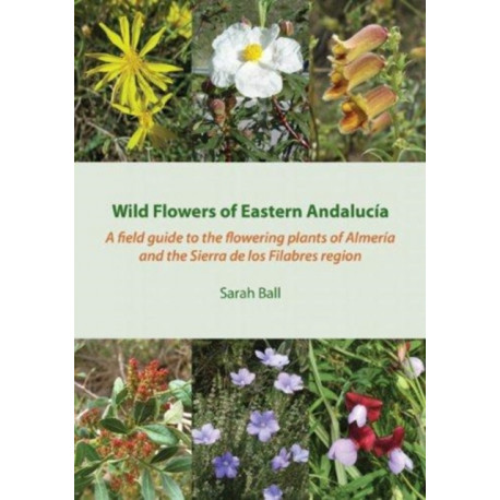 Wild Flowers of Eastern Andalucia: A Field Guide to the Flowering Plants of Almeria and the Sierra De Los Filabres Region