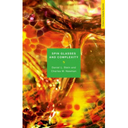 Spin Glasses and Complexity