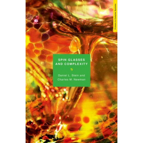 Spin Glasses and Complexity