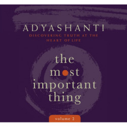 Most Important Thing, Volume 2: Discovering Truth at the Heart of Life