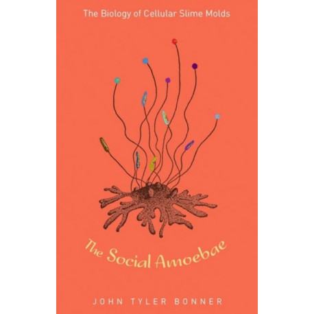 The Social Amoebae: The Biology of Cellular Slime Molds