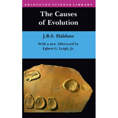 The Causes of Evolution