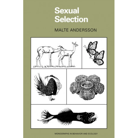 Sexual Selection