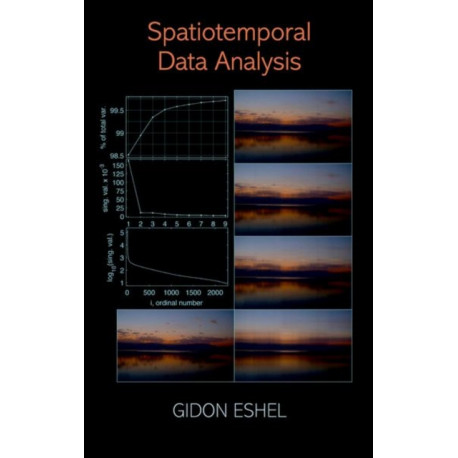 Spatiotemporal Data Analysis