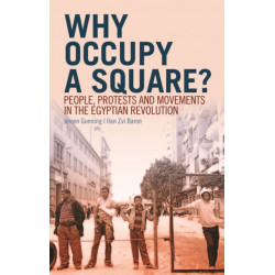 Why Occupy a Square?: People, Protests and Movements in the Egyptian Revolution
