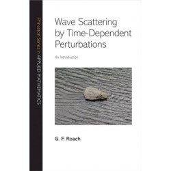 Wave Scattering by Time-Dependent Perturbations: An Introduction