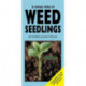 A Colour Atlas of Weed Seedlings