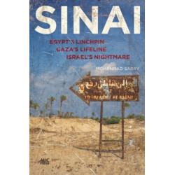 Sinai: Egypt's Linchpin, Gaza's Lifeline, Israel's Nightmare