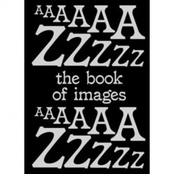 The Book of Images An illustrated dictionary of visual experiences From A to Z: An illustrated dictionary of visual experiences