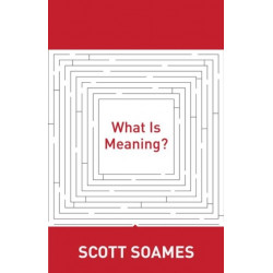 What Is Meaning?