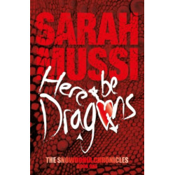 Here be Dragons: The Snowdonia Chronicles: Book One