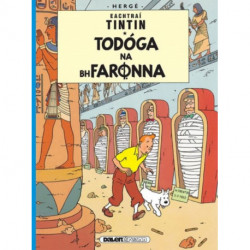 Tintin: Todoga Na Bhfaronna (Irish)